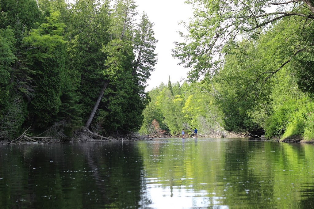 Sauble Falls Bed & Breakfast | 6 Rankin Bridge Rd, Wiarton, ON N0H 2T0, Canada | Phone: (519) 422-3304