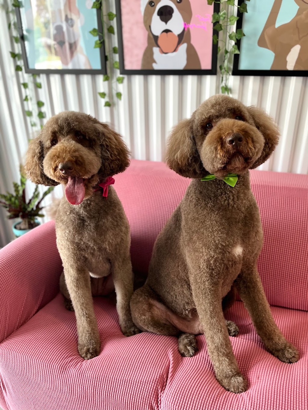 Cutie Patootie Grooming | 143 Borden Ave unit 10, Belmont, ON N0L 1B0, Canada | Phone: (226) 883-0955