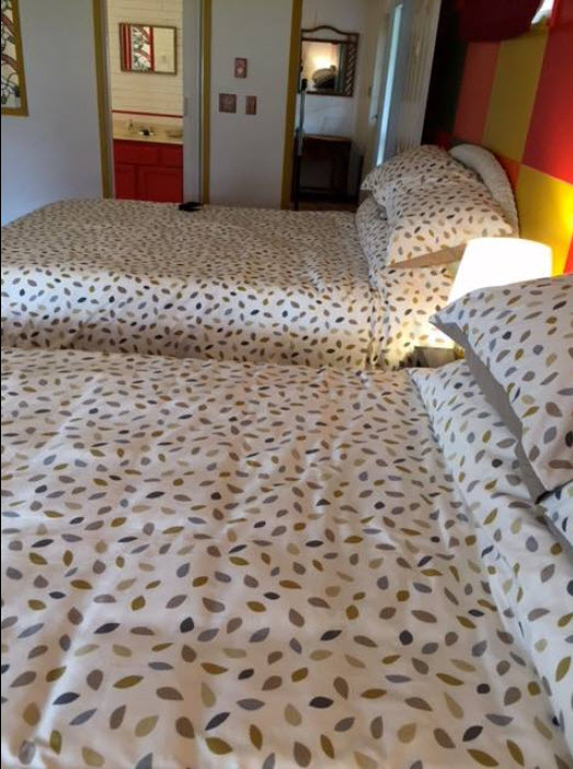 Crazy 4 Colour Bed and Breakfast | 2833 Hilltop Rd, Sorrento, BC V0E 2W0, Canada | Phone: (250) 515-0153