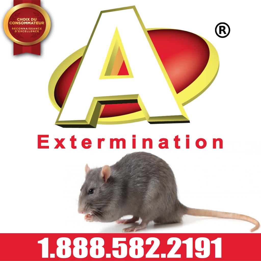 A-Extermination / Sainte-Julie et Saint-Bruno | 2111 #C, Rue Léonard-de-Vinci, Sainte-Julie, QC J3E 1Z2, Canada | Phone: (450) 922-1234