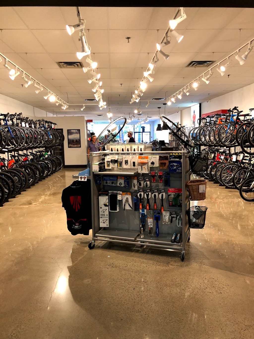 Trek Bicycle Store Mississauga | #13, 2273 Dundas St W, Mississauga, ON L5K 2L8, Canada | Phone: (905) 997-8735