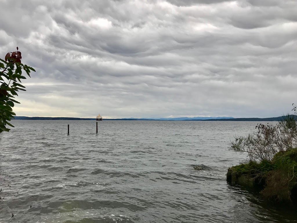 Daniel Street Park | Daniel St, Chemainus, BC V0R 1K1, Canada