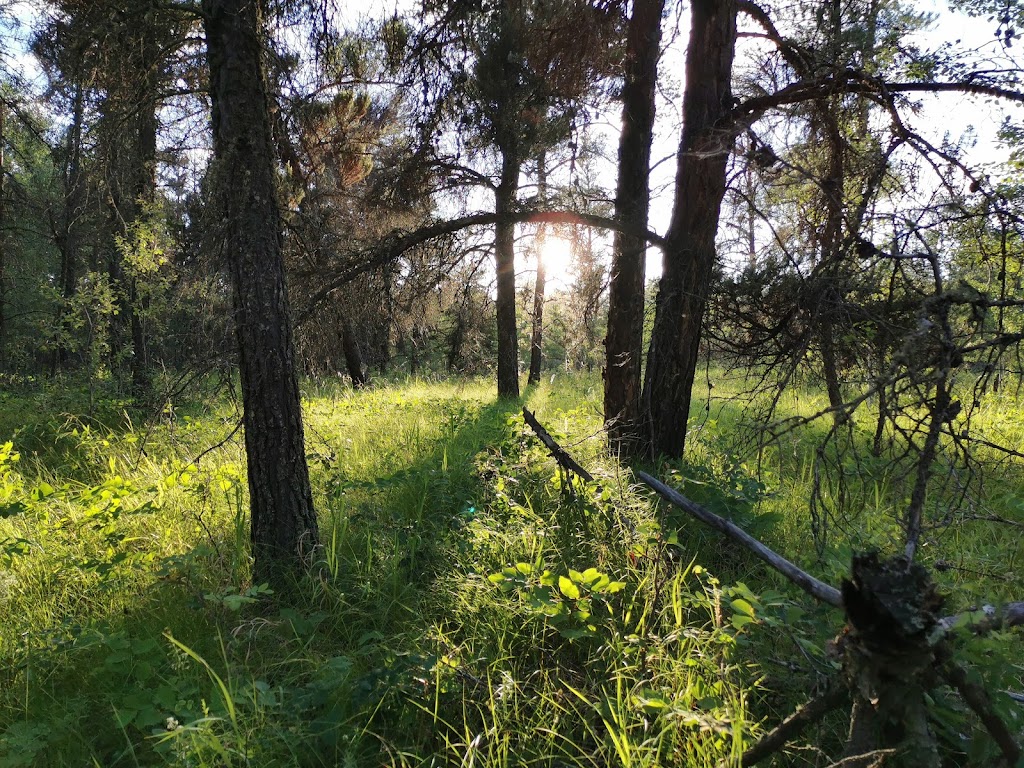 Little Red River Park | 690 13 St NE, Spruce Home, SK S0J 2N0, Canada | Phone: (306) 953-4800