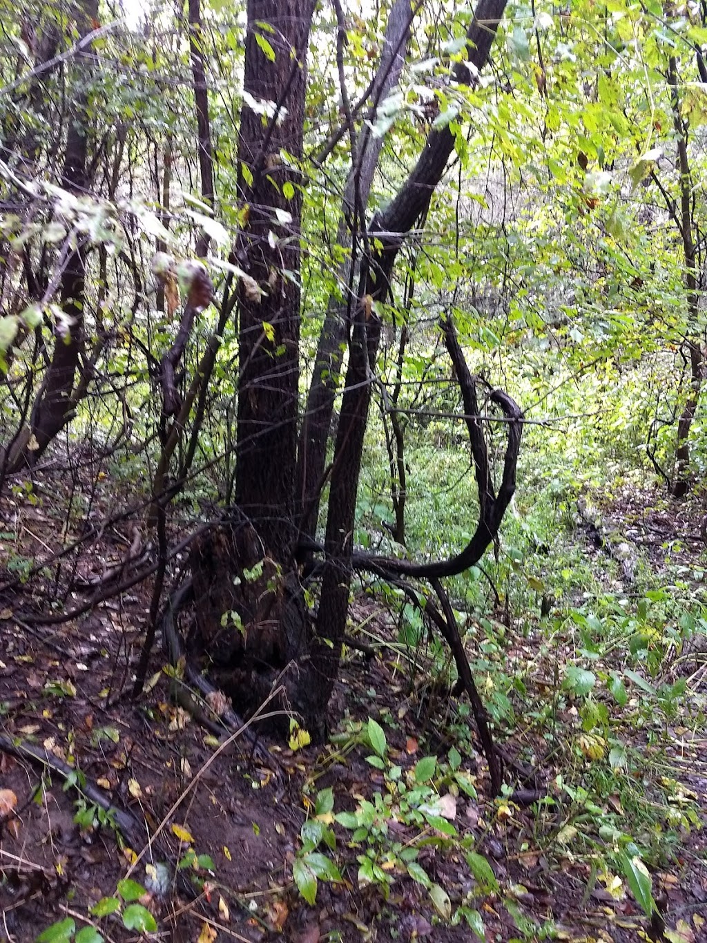 China Township Belle River Access Park | Belle River Rd, China Township, MI 48054, USA