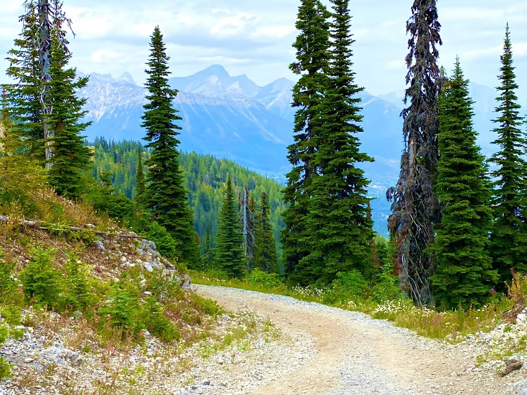 Elk View Lodge | 3934 Cokato Rd, Fernie, BC V0B 1M4, Canada | Phone: (519) 701-3821