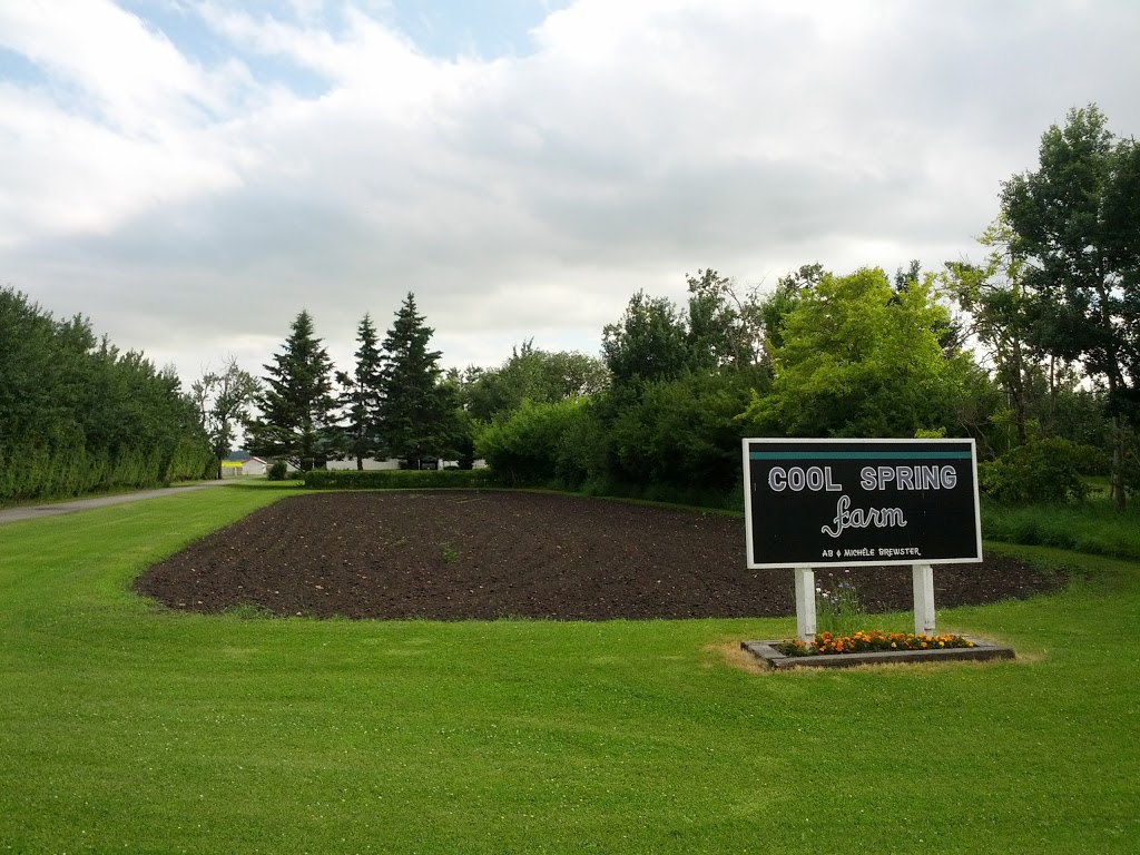 Cool Spring Farm | 1047, Township Rd 342, Bowden, AB T0M 0K0, Canada | Phone: (403) 224-3298