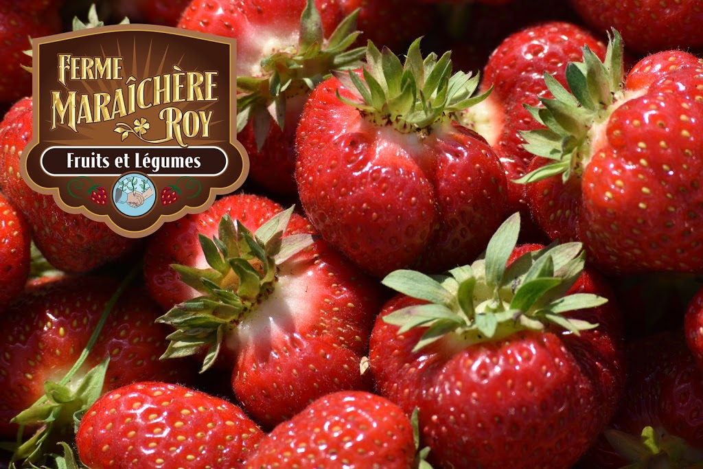 Ferme Maraîchère Roy | 1919 QC-161, Nantes, QC G0Y 1G0, Canada | Phone: (819) 583-3498