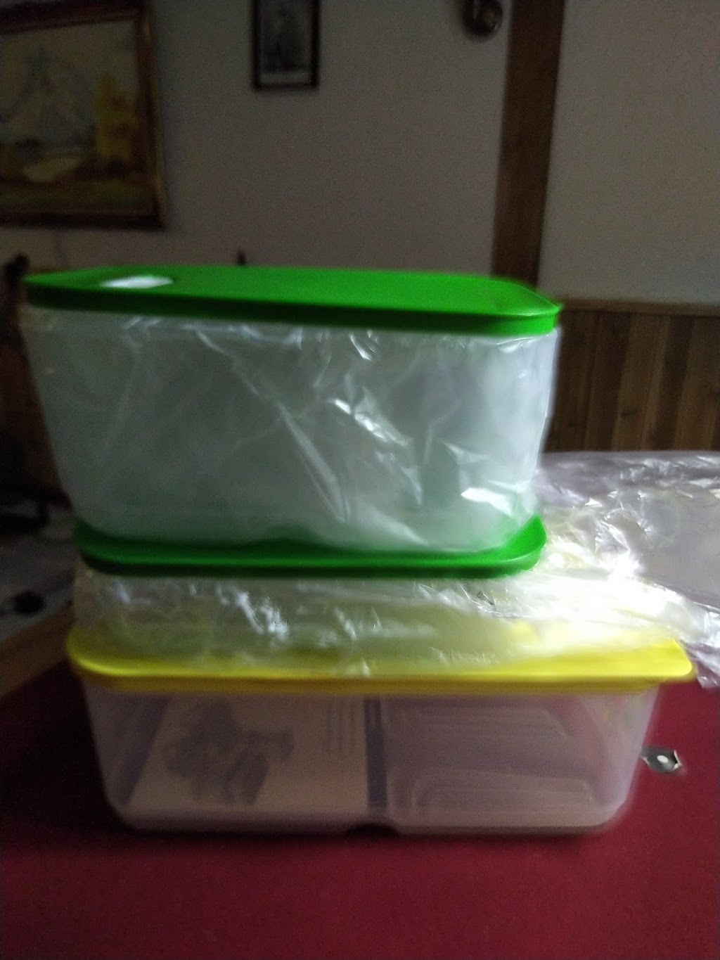 Tracy Brenner, Independent Tupperware Consultant | 43 Ottawa Ave, St. Clements, ON N0B 2M0, Canada | Phone: (519) 699-9340
