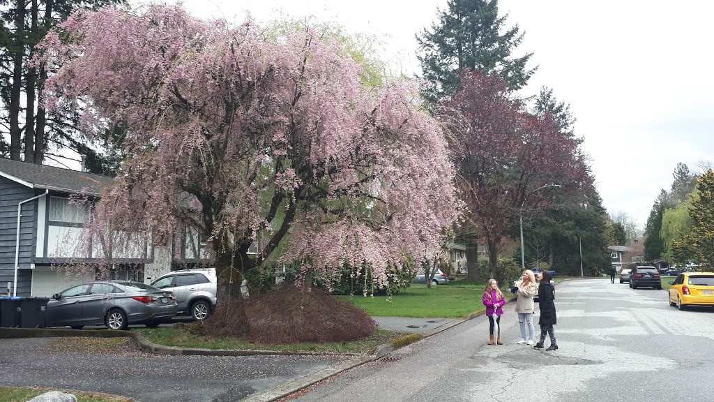 Birchland Park | 1200 Ellis Dr, Port Coquitlam, BC V3B 1G8, Canada