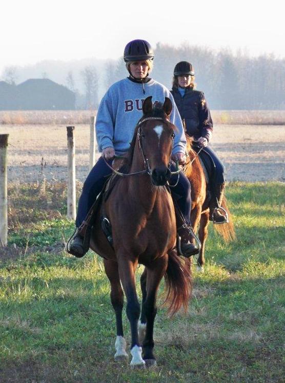 Symphony Stables | 778 County Rd 37, Wheatley, ON N0P 2P0, Canada | Phone: (519) 825-9708
