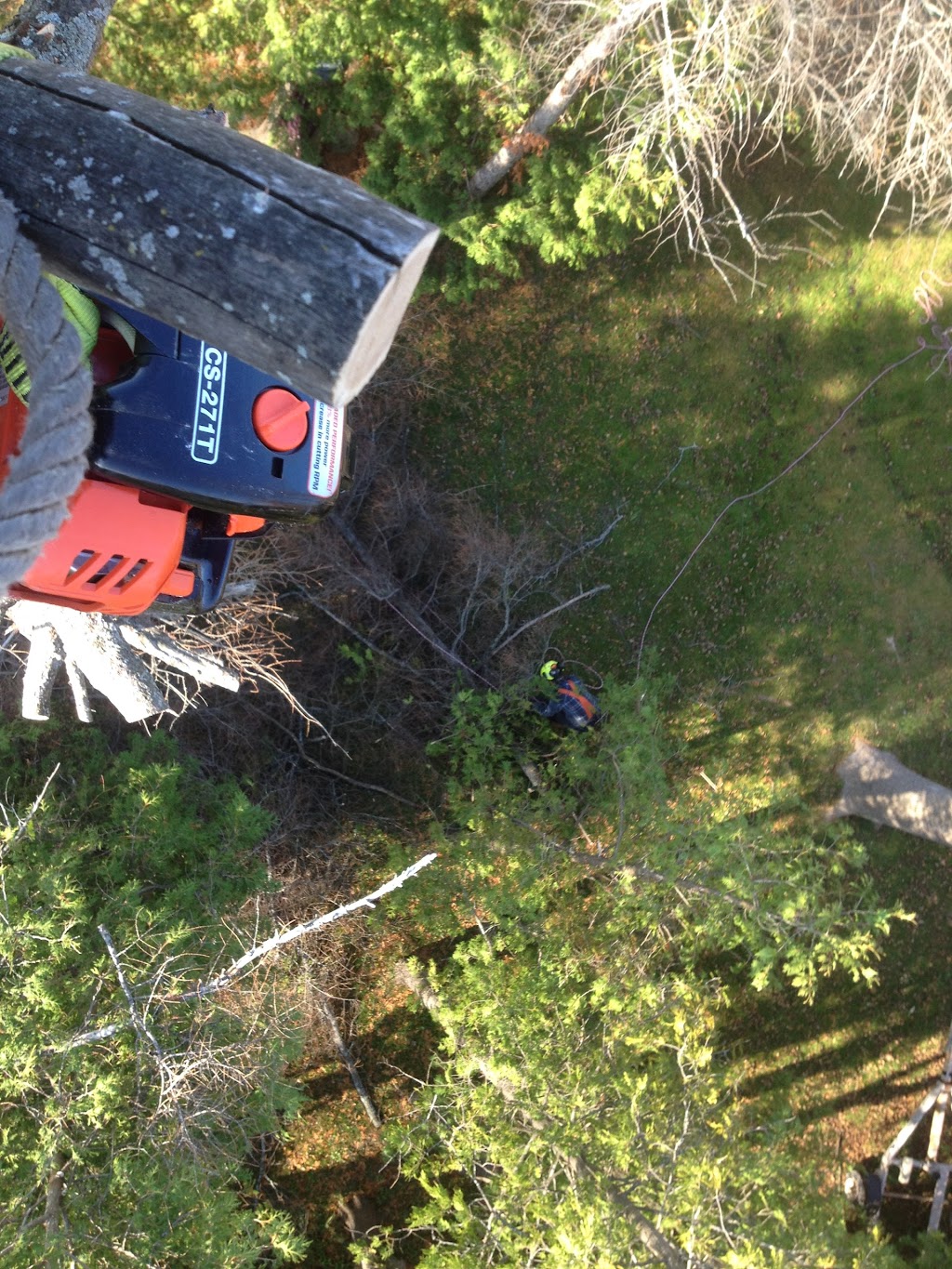 Woodys Arborist & Yard Services | 18652 Grey County Rd 10, Wiarton, ON N0H 2T0, Canada | Phone: (519) 377-6113