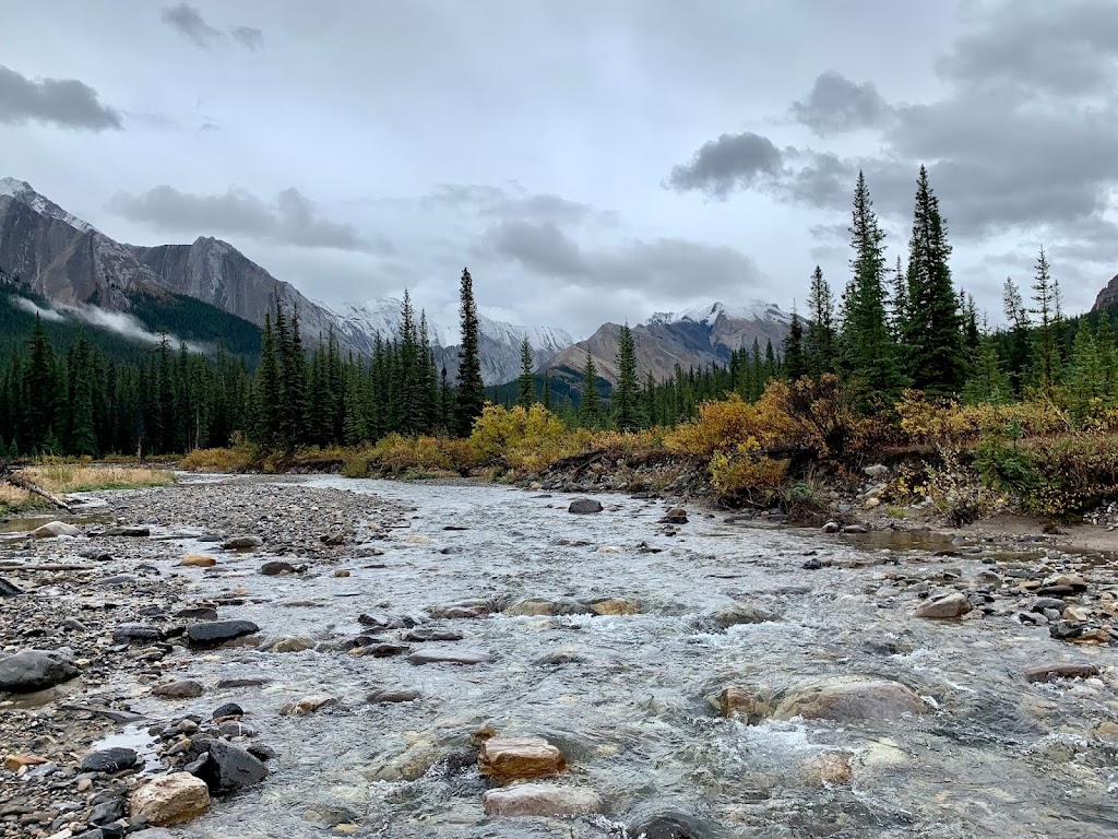 McKenzies Trails West | David Thompson Hwy, Cline River, AB T0M 2H0, Canada | Phone: (403) 721-7433