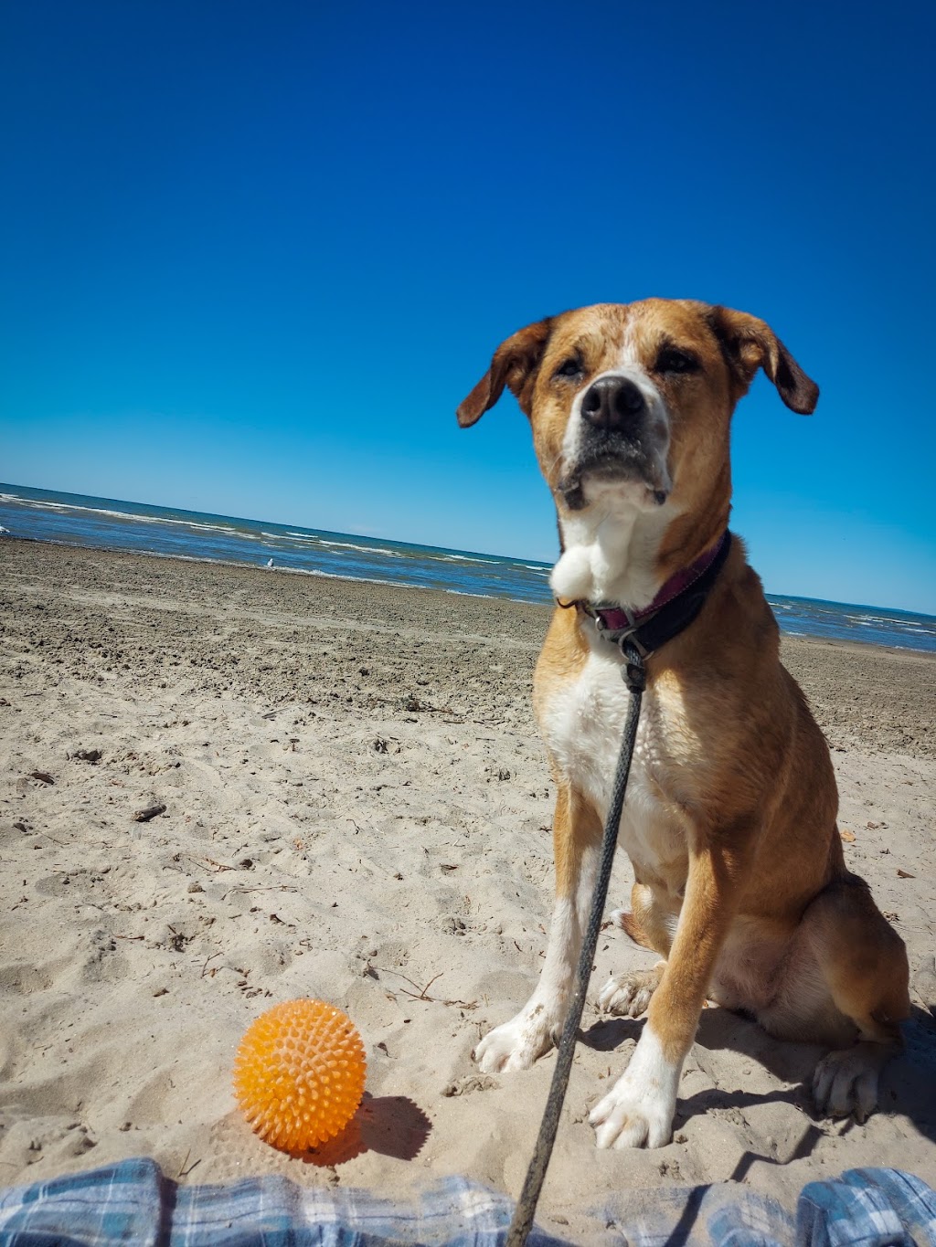 Jacque’s Landing Campground | 1873 Klondike Park Rd, Wasaga Beach, ON L9Z 2W8, Canada | Phone: (705) 429-5418