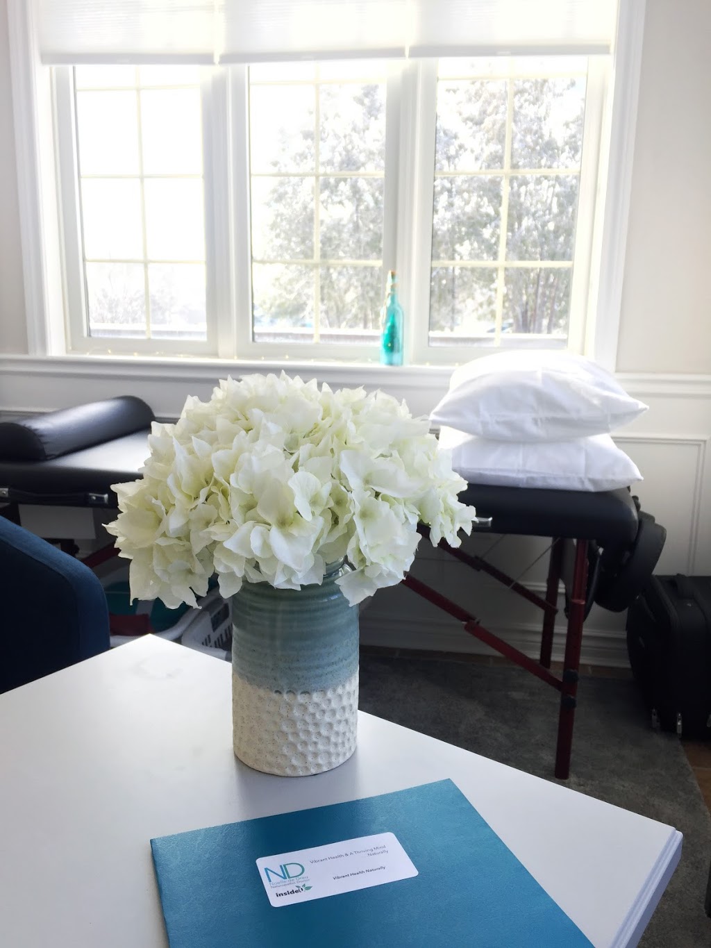 Dr. Noelle de Dreu, Naturopathic Doctor | 79 Montclair Dr, Woodstock, ON N4V 1C5, Canada | Phone: (519) 290-5100
