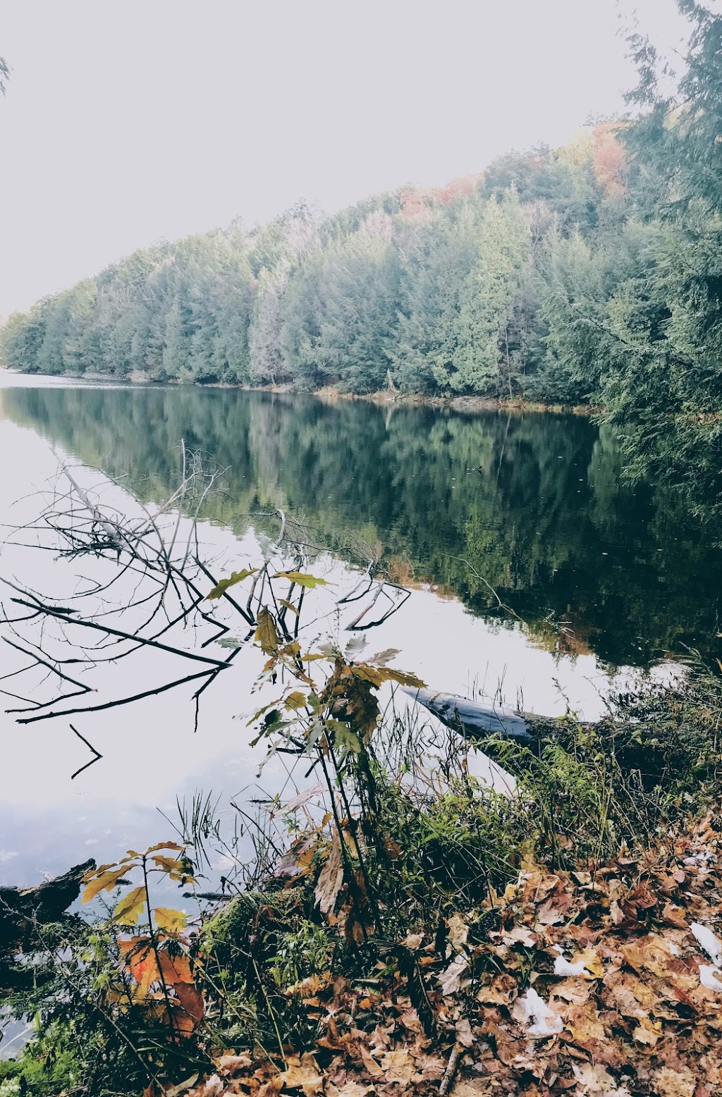 Discovery Trail | Chemin du Lac Meech, Chelsea, QC J9B 1H9, Canada
