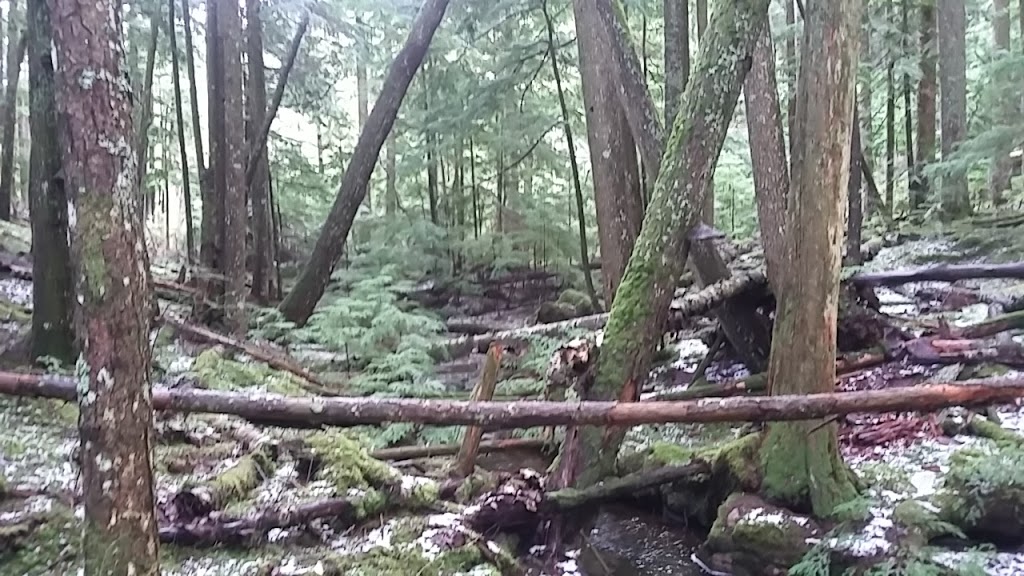 Lost Lake Trailhead | Sumas, WA 98295, USA