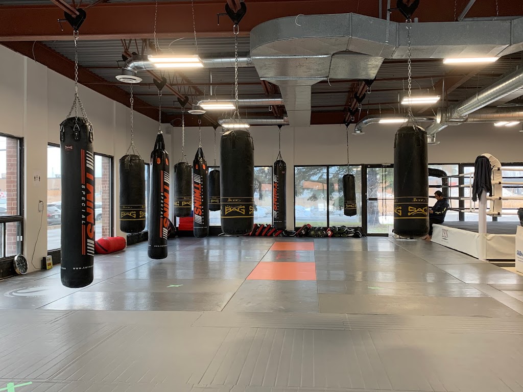 Zen Mixed Martial Arts | 32 Colonnade Rd N #1000, Ottawa, ON K2E 7J6, Canada | Phone: (613) 723-2800