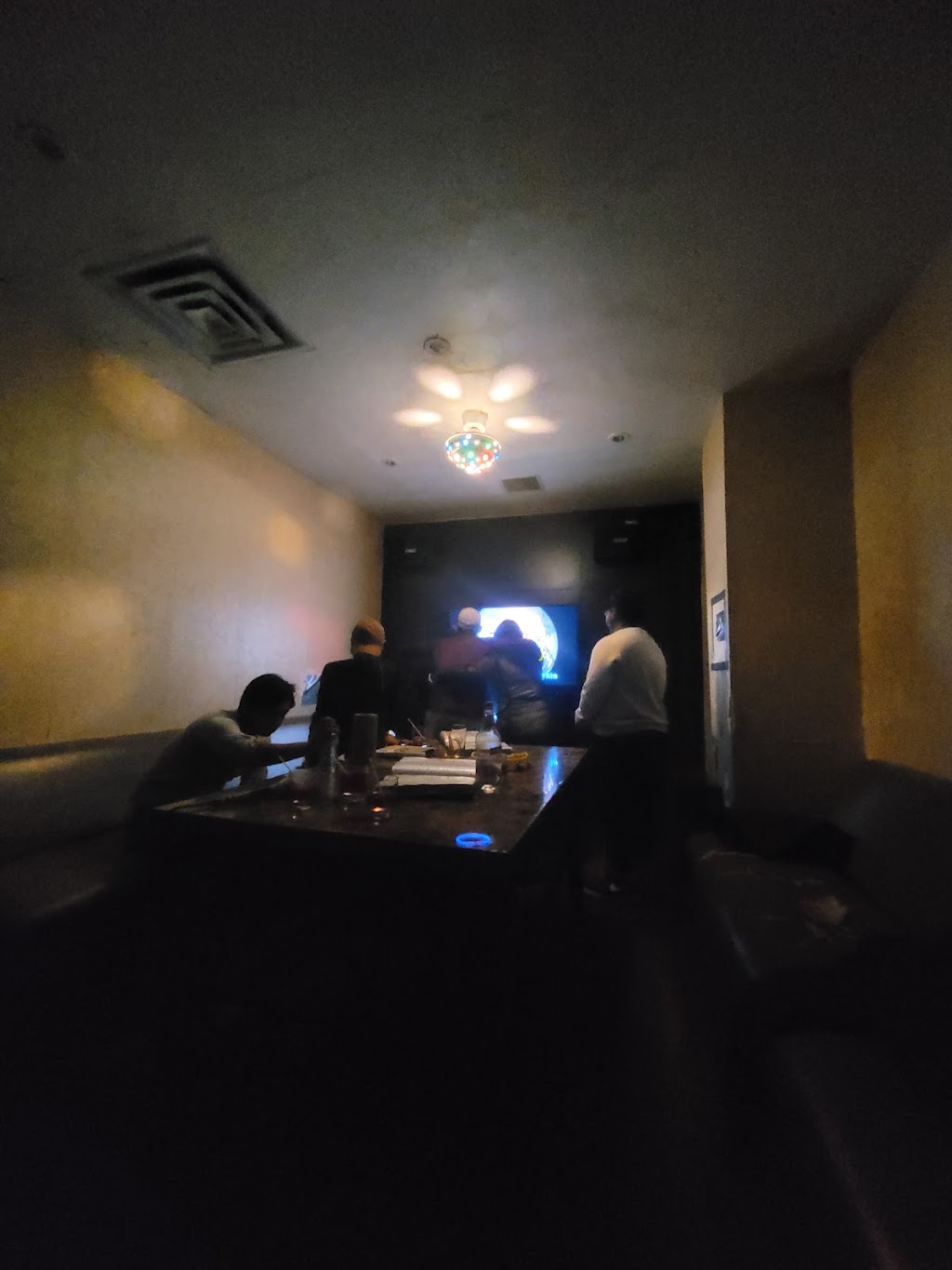 VIP KARAOKE BAR INC | 610 Somerset St W, Ottawa, ON K1R 5K4, Canada | Phone: (613) 680-8847