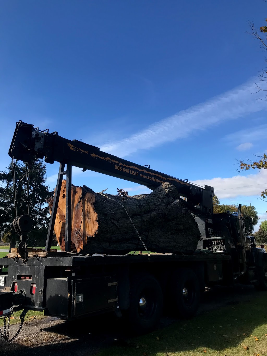 Kodiak Tree Services | 110 Sawmill Rd, Caledonia, ON N3W 2G9, Canada | Phone: (905) 648-5323