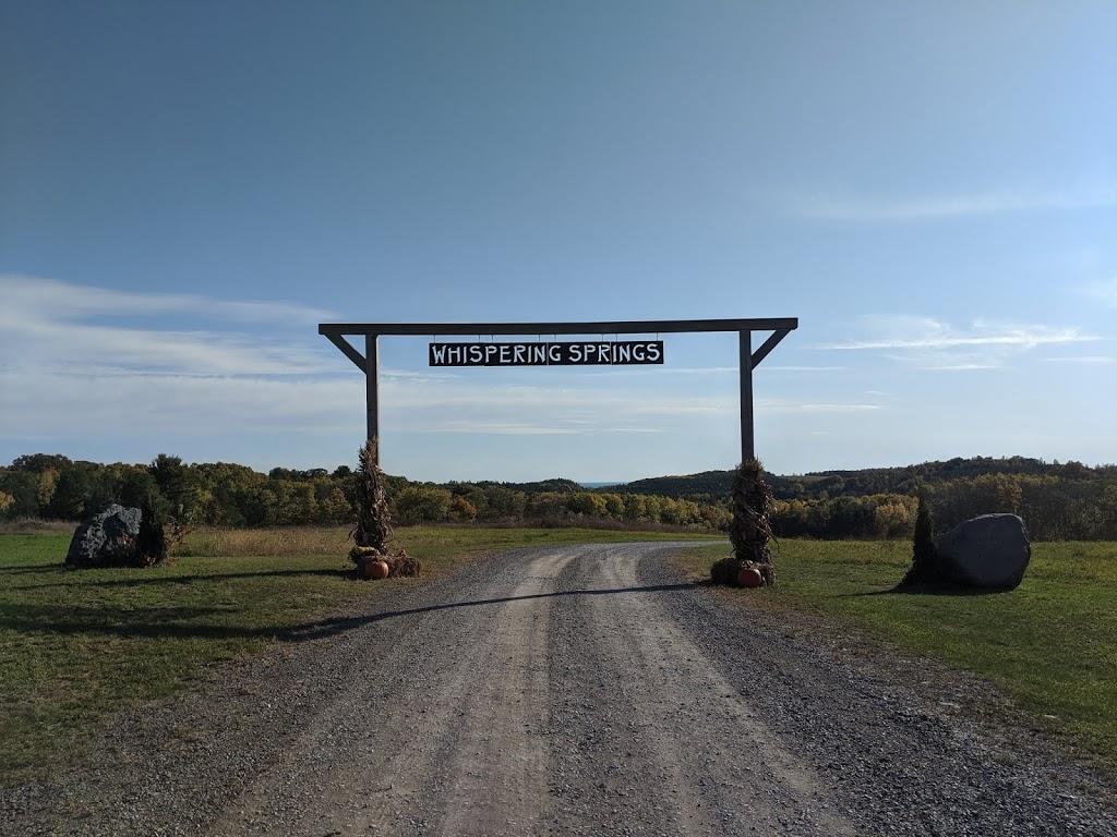 Whispering Springs Wilderness Retreat | 141 Mercer Ln, Grafton, ON K0K 2G0, Canada | Phone: (905) 349-1009