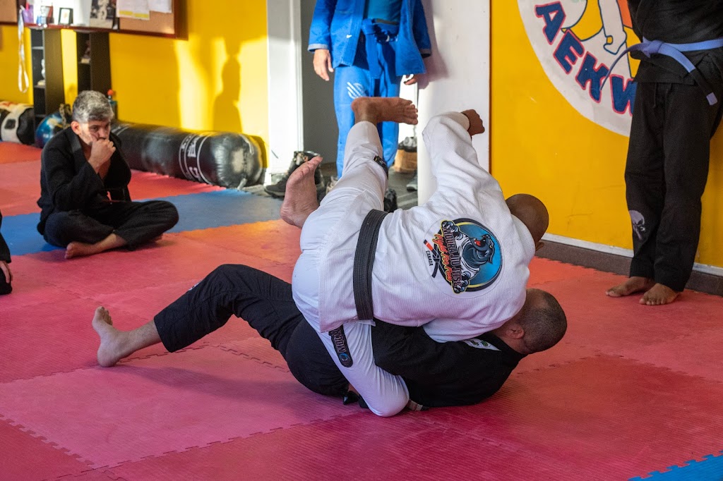 Moura Brazilian jiu-jitsu no | 3215 B Rue Beaubien E, Montréal, QC H1Y 1H6, Canada | Phone: (438) 866-5317