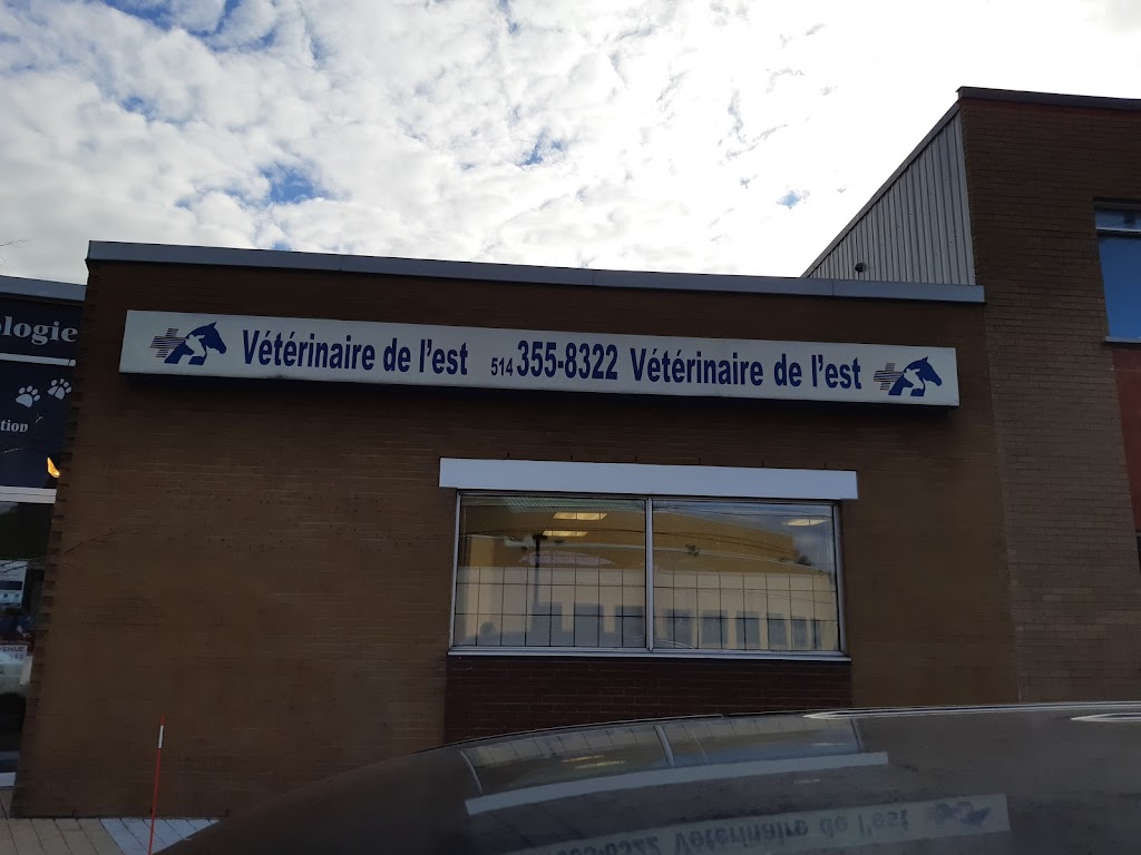 Hôpital Vétérinaire de L’Est | 8700 Av. Chaumont, Anjou, QC H1K 1N6, Canada | Phone: (514) 355-8322