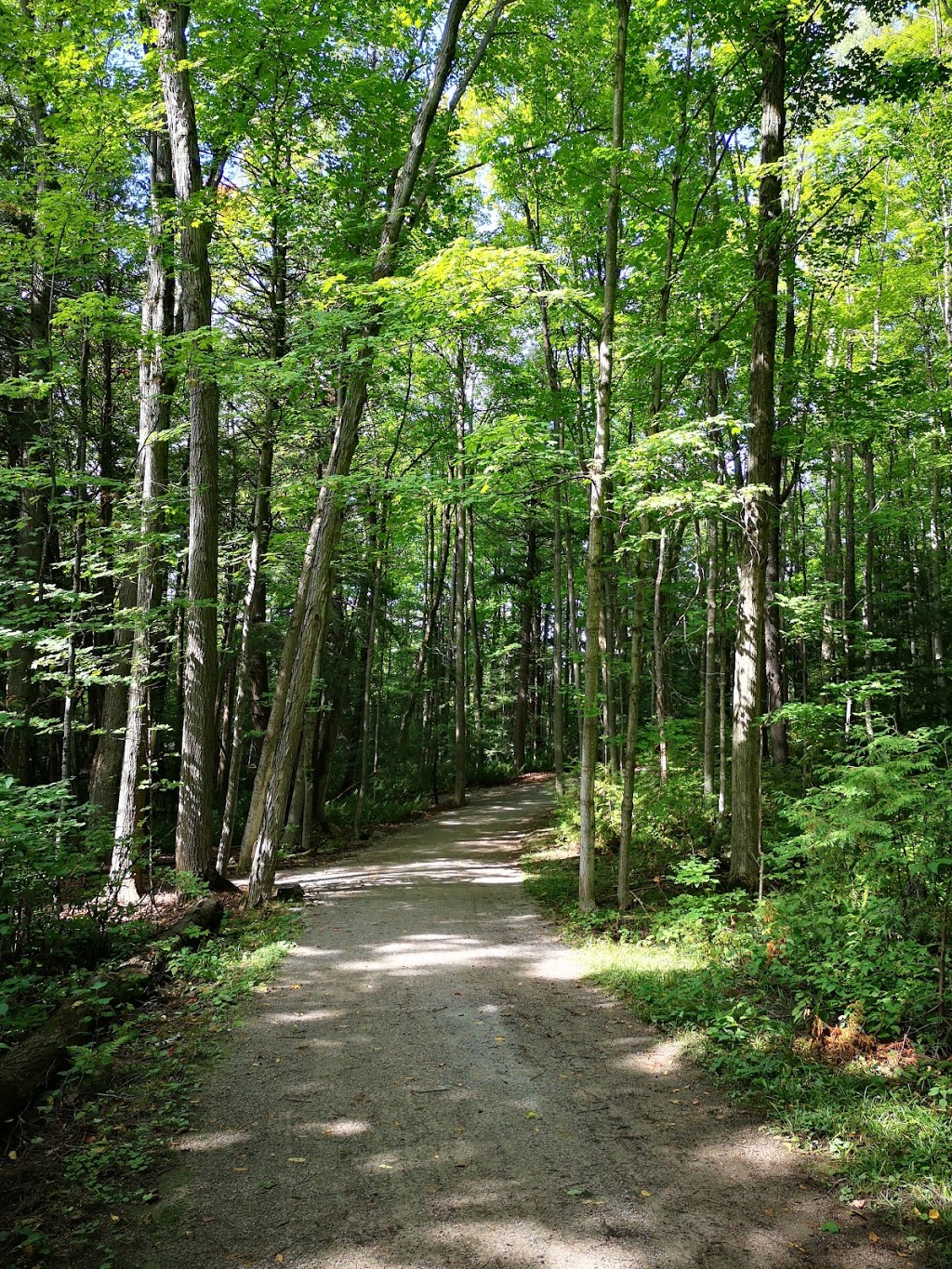 Sheppards Bush Conservation Area | Industry St, Aurora, ON L4G 7B3, Canada | Phone: (905) 895-1281