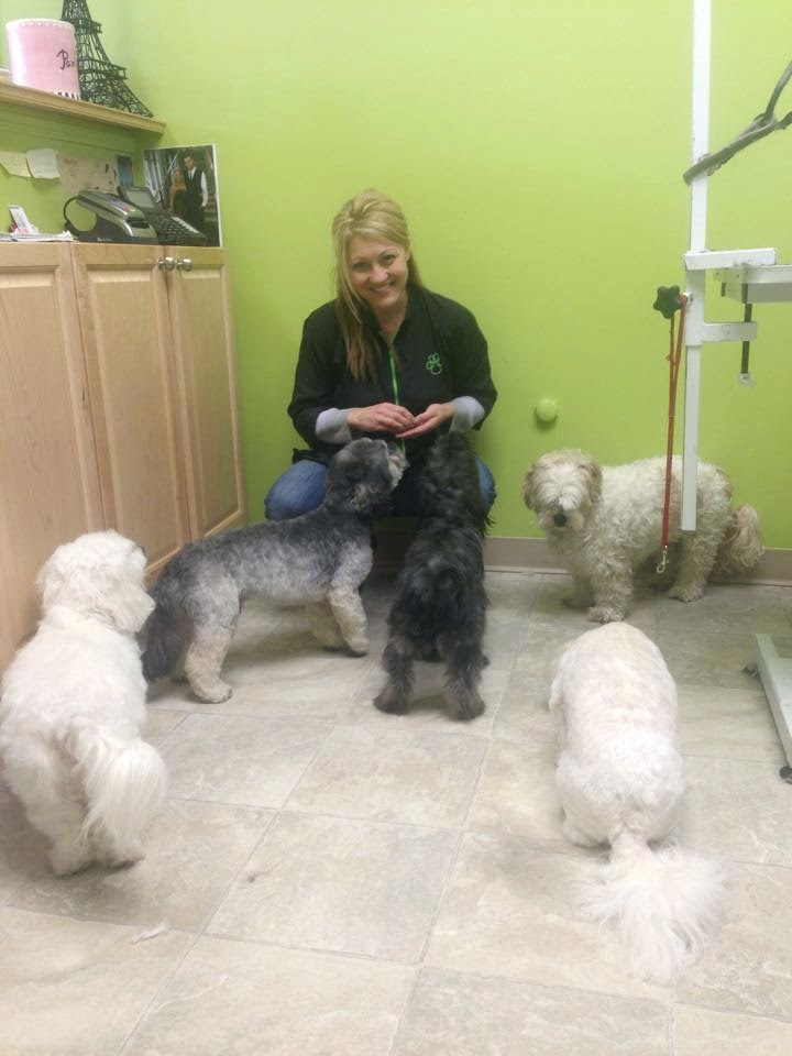 Paris and Company Professional Dog Grooming | 1144 Courtland Ave E, Kitchener, ON N2C 2H5, Canada | Phone: (519) 584-7387