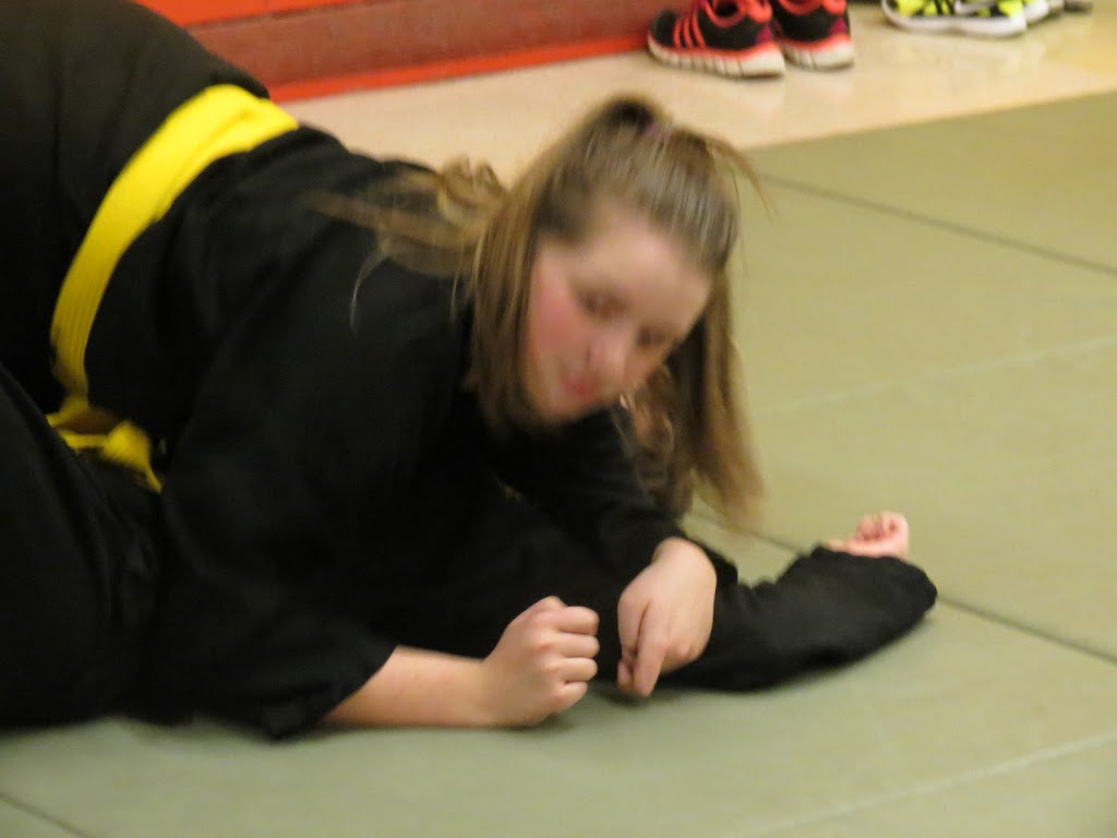 Mount Pearl School Of Martial Arts | ODonel High School, Mount Pearl, NL A1N 4M9, Canada | Phone: (709) 682-0335
