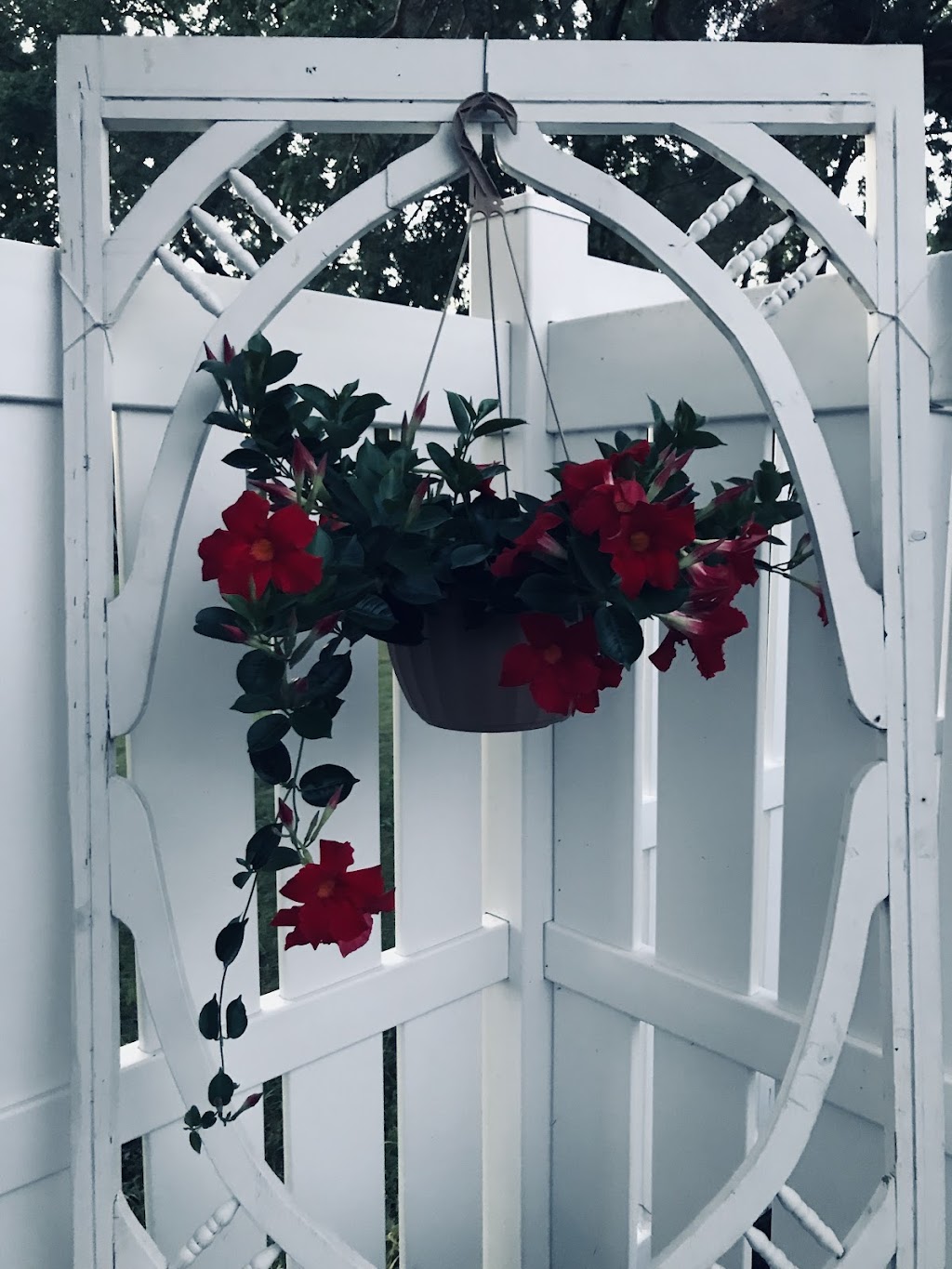 Top Notch Fence Co. | 667 Gloria St, Blyth, ON N0M 1H0, Canada | Phone: (519) 291-8456