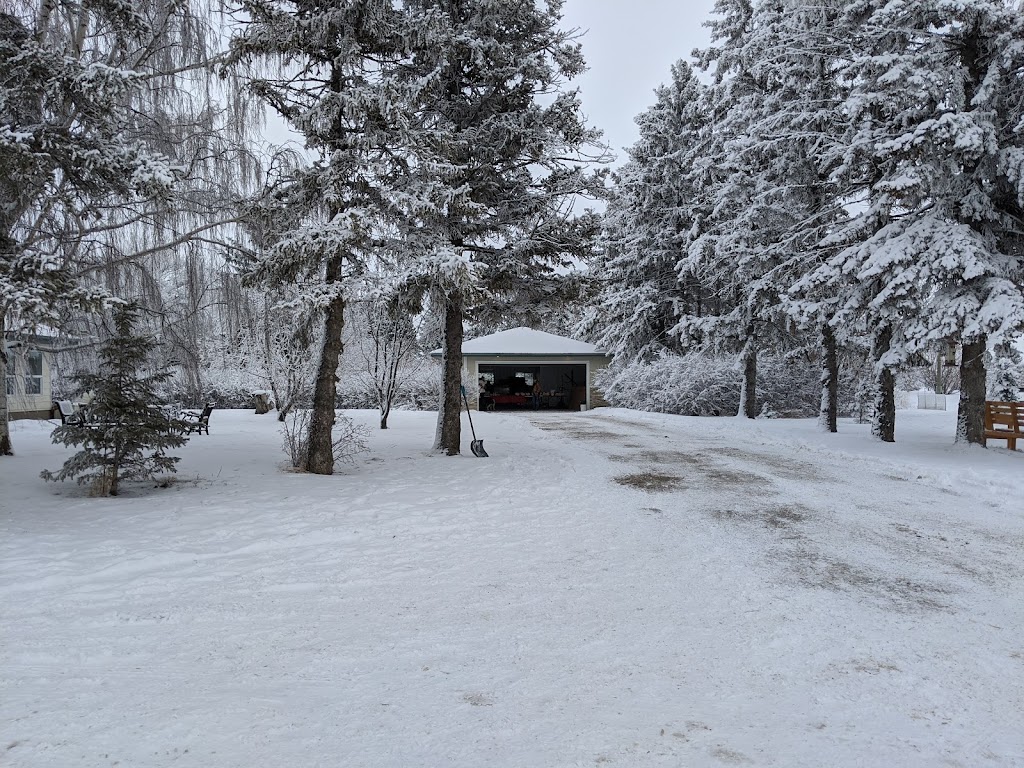 Winters Turkeys | Township Rd 224, Dalemead, AB T0J 0V0, Canada | Phone: (403) 936-5586