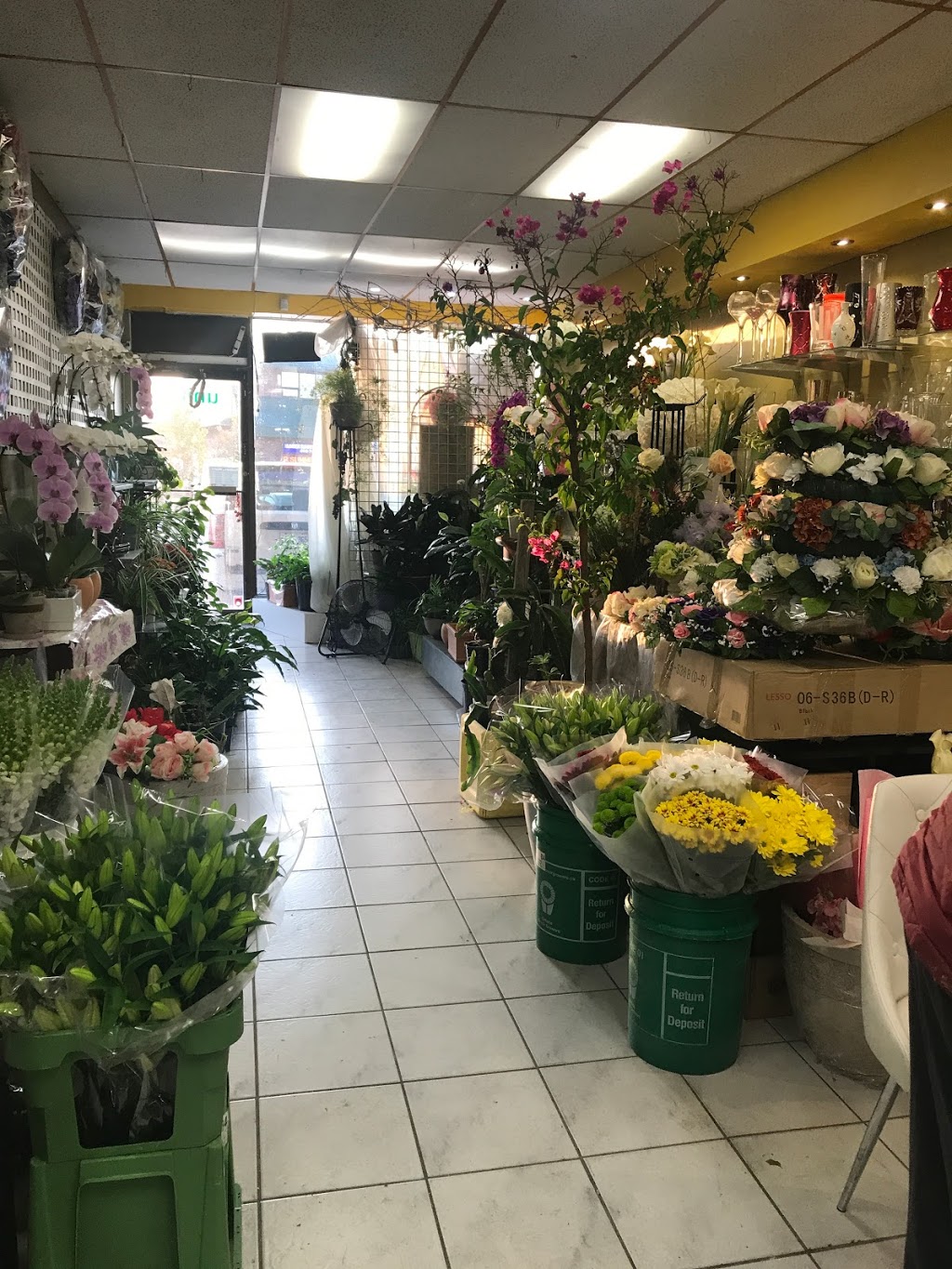 Julies Floral & Gifts | 2965 Islington Ave Unit 6, North York, ON M9L 2K8, Canada | Phone: (416) 248-9478