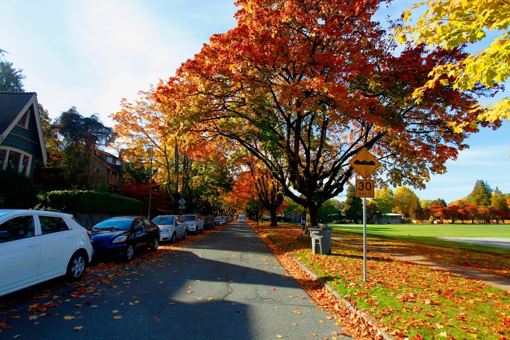 Douglas Park Community Centre | 801 W 22nd Ave, Vancouver, BC V5Z 1Z8, Canada | Phone: (604) 257-8130