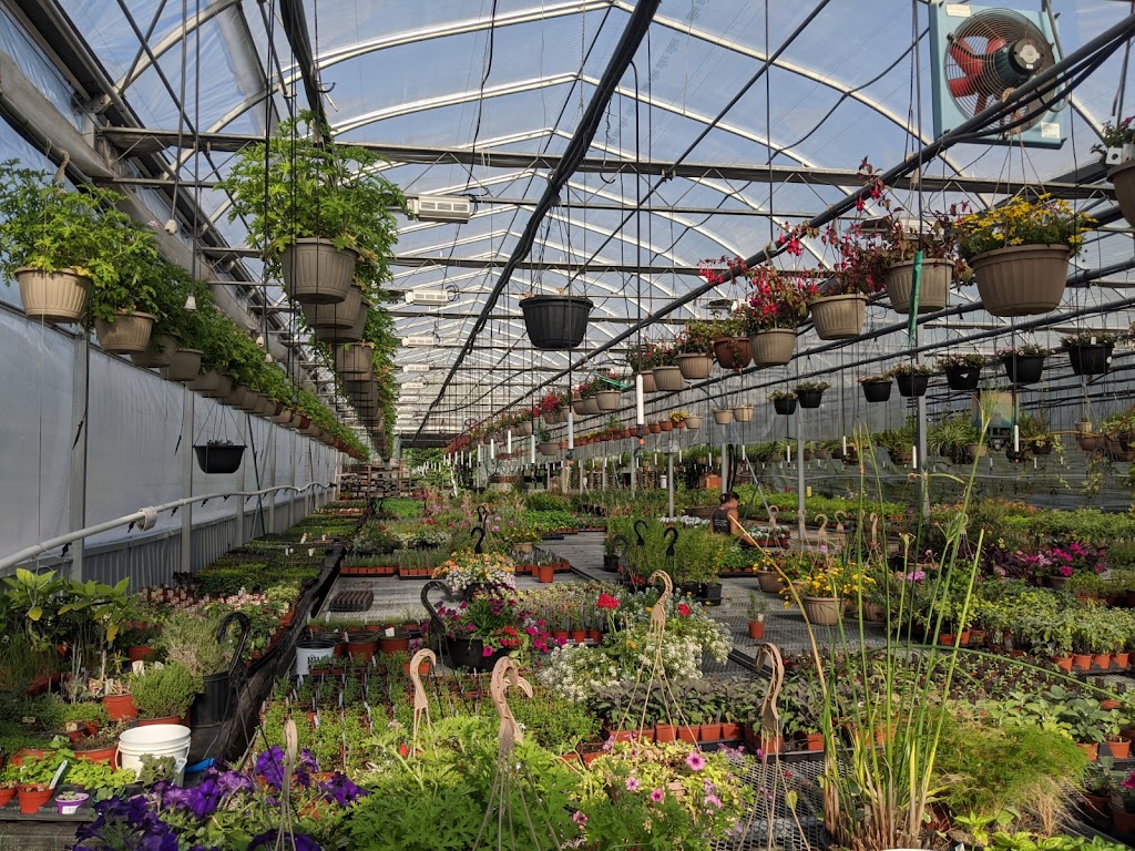 Les Serres de la Vallée (Les Herbes en Folie) | 11083 Route 117 N, Rivière-Rouge, QC J0T 1T0, Canada | Phone: (819) 275-2507