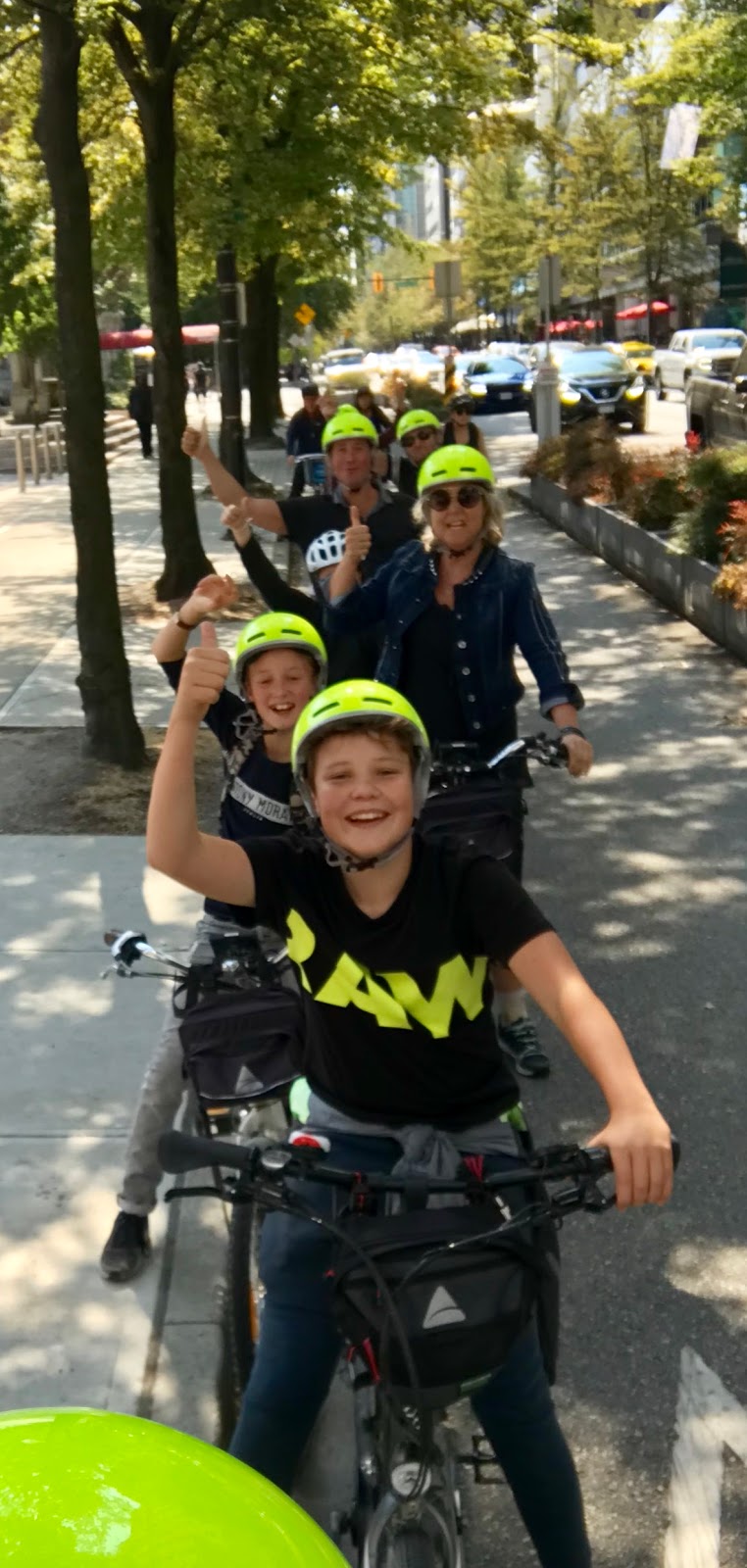 Bees Knees eBike & Ski Rentals | 1315 Burrard St, Vancouver, BC V6Z 1Z7, Canada | Phone: (604) 262-8852