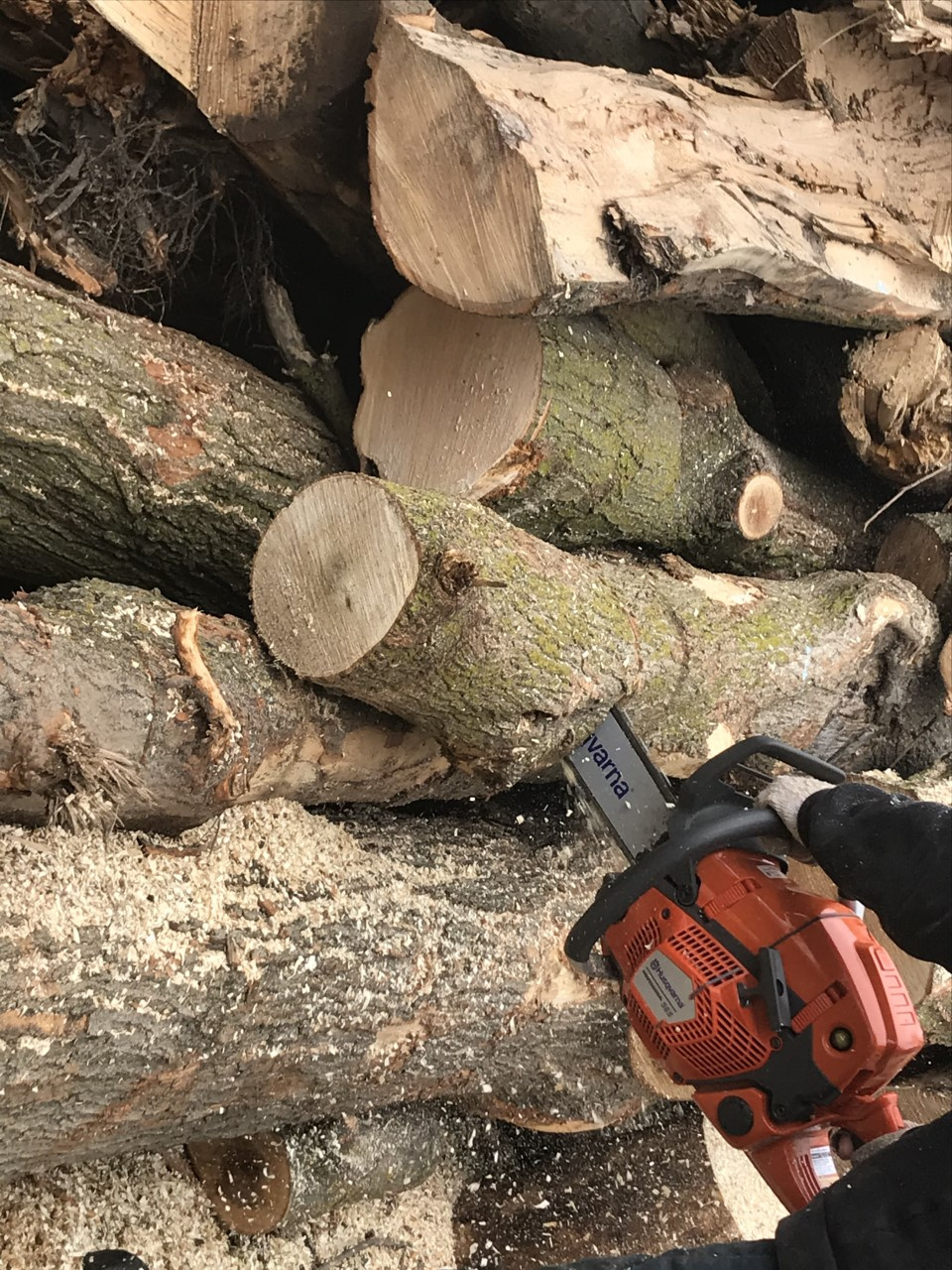 Glenwood Firewood | 3125 Lloydtown-Aurora Rd, Kettleby, ON L0G 1J0, Canada | Phone: (647) 504-6570