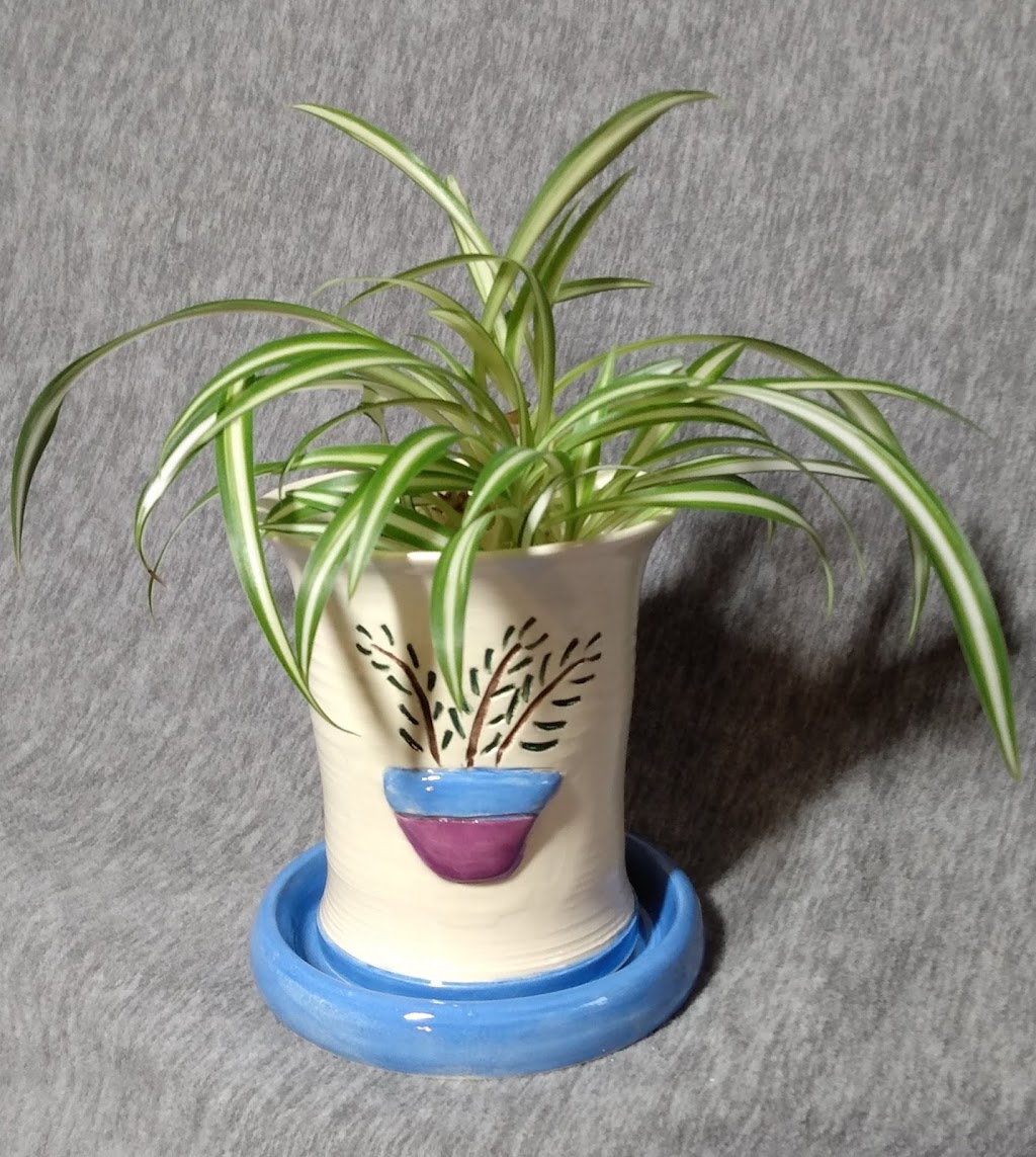 Eagles Nest Pottery | 691 Mines 2 Rd, Hebbs Cross, NS B4V 0Y2, Canada | Phone: (902) 521-7939