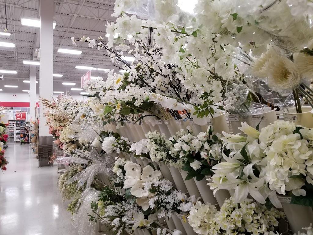 Michaels | Civic #15, Lemlair Row, Dartmouth, NS B3B 0C6, Canada | Phone: (902) 461-3032