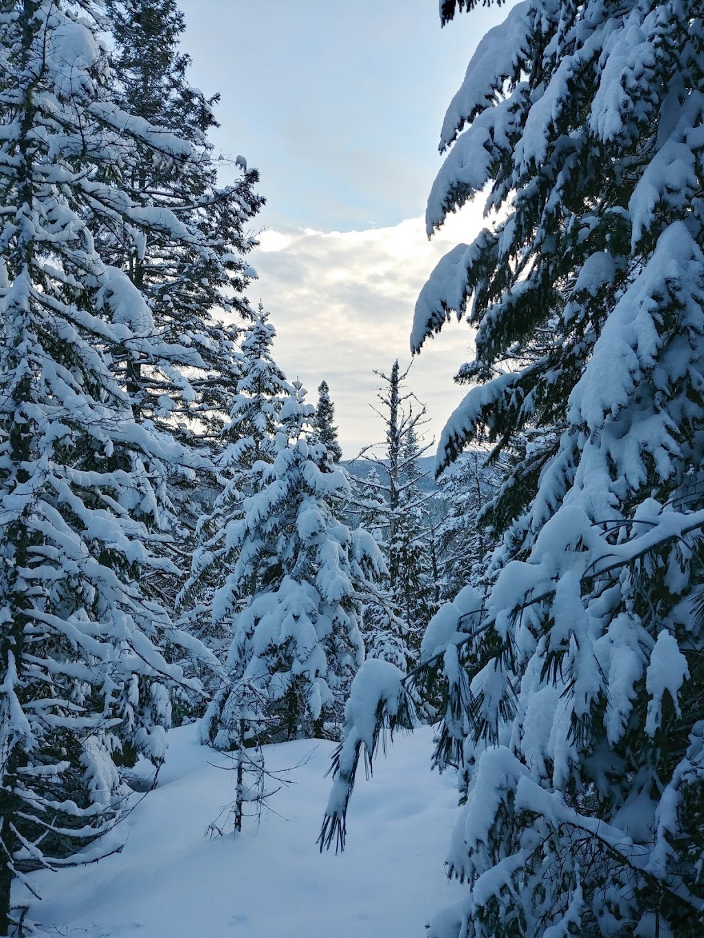 Regional Park Forest Ouareau | 2007 Chemin du Massif, Notre-Dame-de-la-Merci, QC J0T 2A0, Canada | Phone: (819) 424-1865