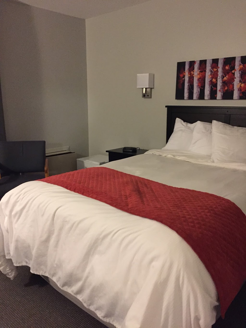 Motel Restauparc | 625 Principale St, Casselman, ON K0A 1M0, Canada | Phone: (613) 764-3112