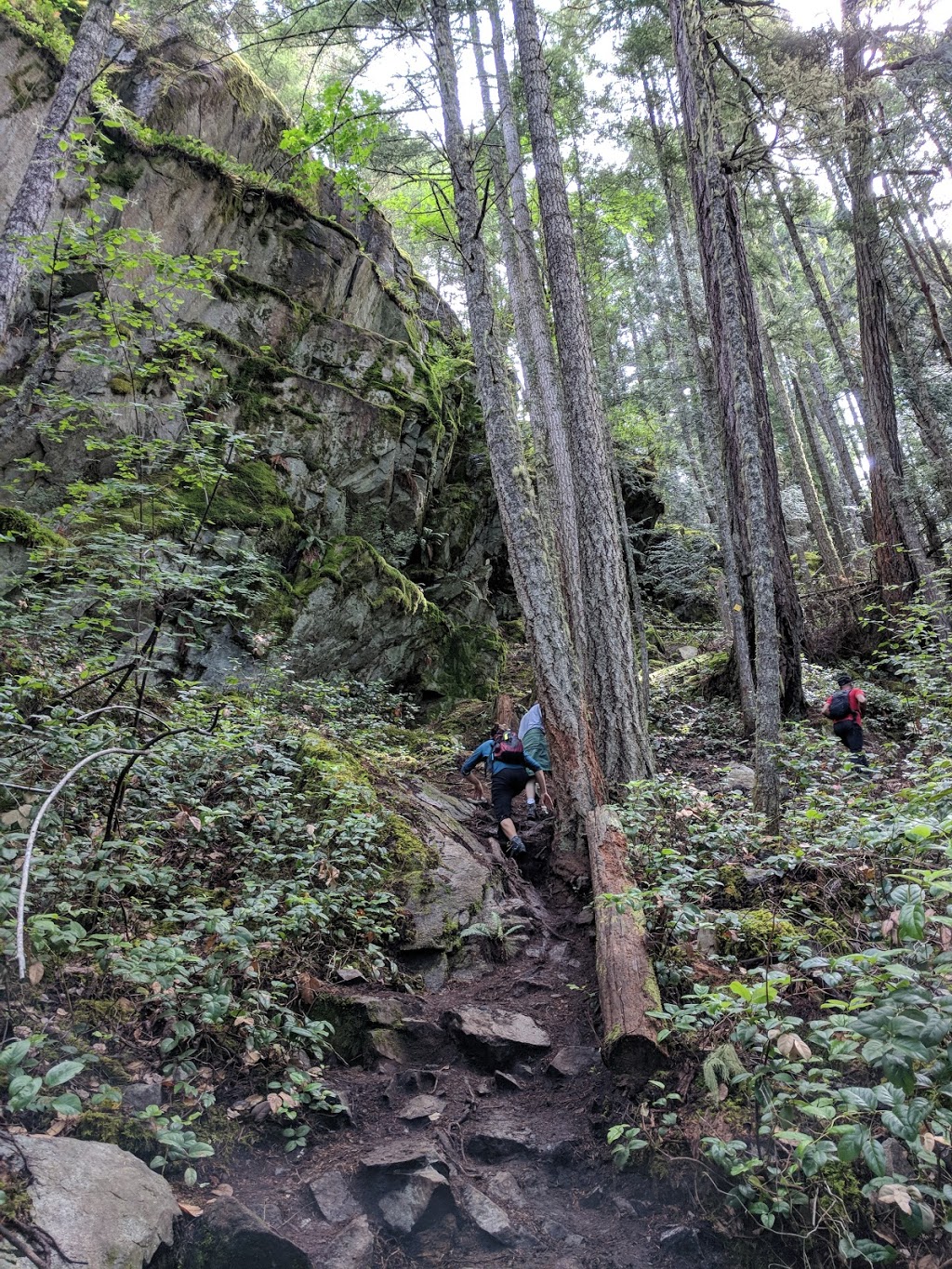 Tunnel Bluffs | Squamish-Lillooet D, BC V0N, Canada