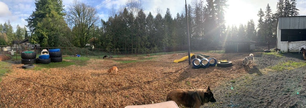 Cloud Nine Canines: Dog Daycare, Dog Grooming | 17728 96 Ave, Surrey, BC V4N 4A7, Canada | Phone: (236) 986-3808
