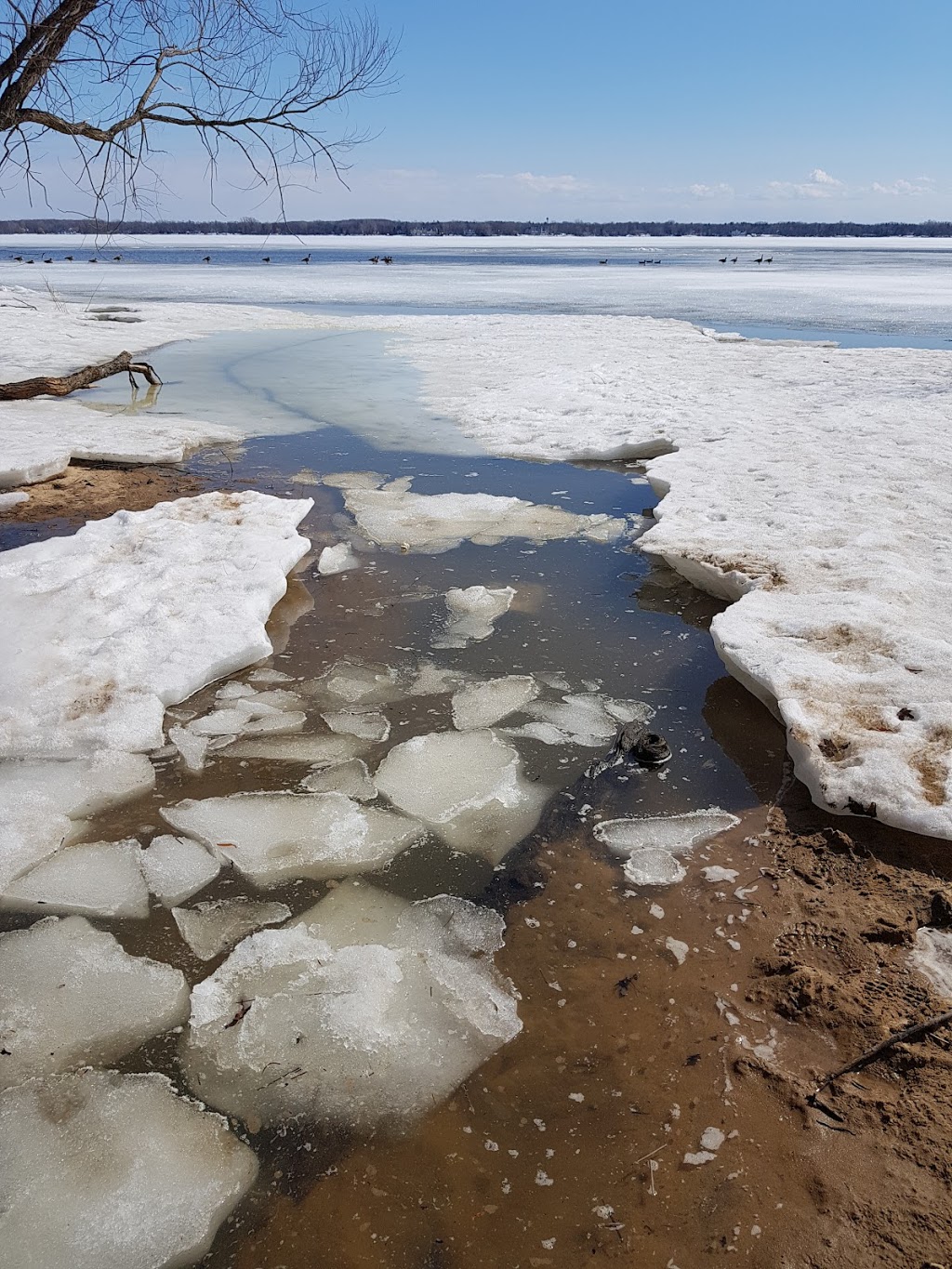 dog park SteMarthesurleLac Rue Sauvé, SainteMarthesurleLac