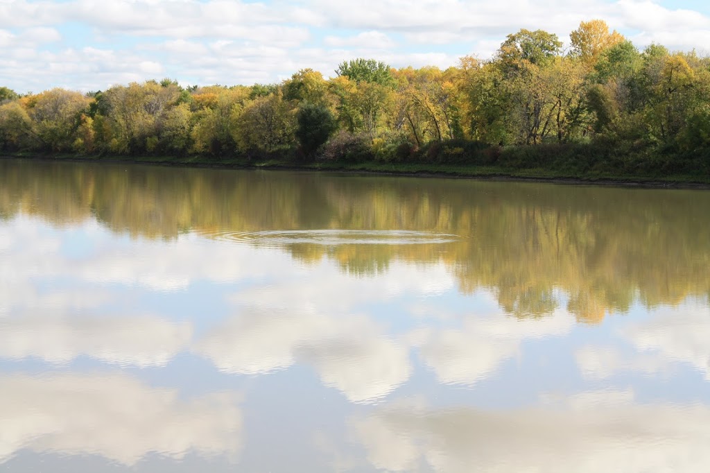 Chesters Park | 155 Freedman Crescent #131, Winnipeg, MB R3T 2N1, Canada