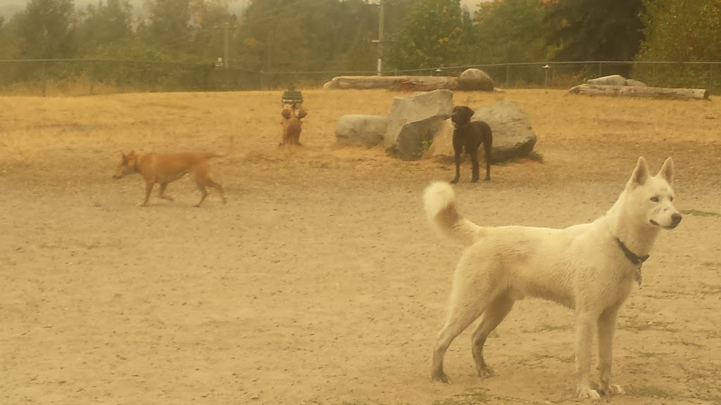 Taylor Park Dog Park | Mission Ave, Burnaby, BC V3N 5G3, Canada