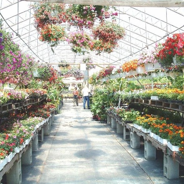 Centre Jardin Les Serres Neville | 1650 Rue Wellington S, Sherbrooke, QC J1M 1K9, Canada | Phone: (819) 565-3053
