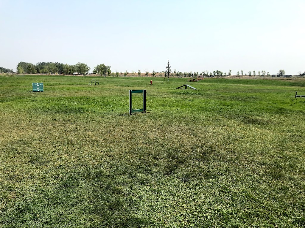 Coaldale Christian School | 2008 8 St, Coaldale, AB T1M 1L1, Canada | Phone: (403) 345-4055