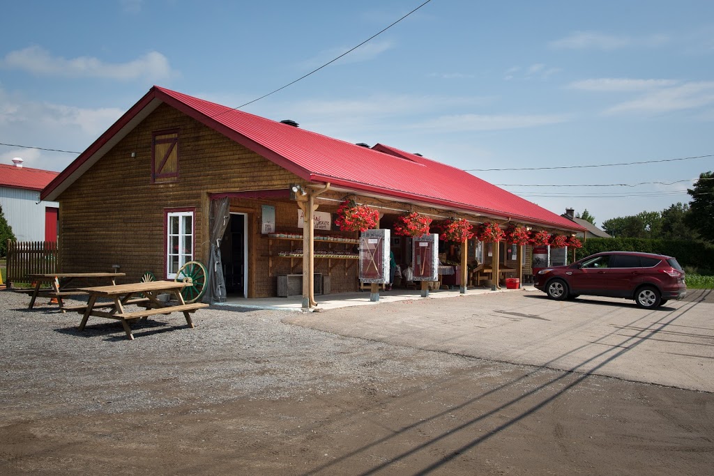 Ferme Langlois et Fils (Chez Médé) | 1087 QC-138, Neuville, QC G0A 2R0, Canada | Phone: (418) 909-0729