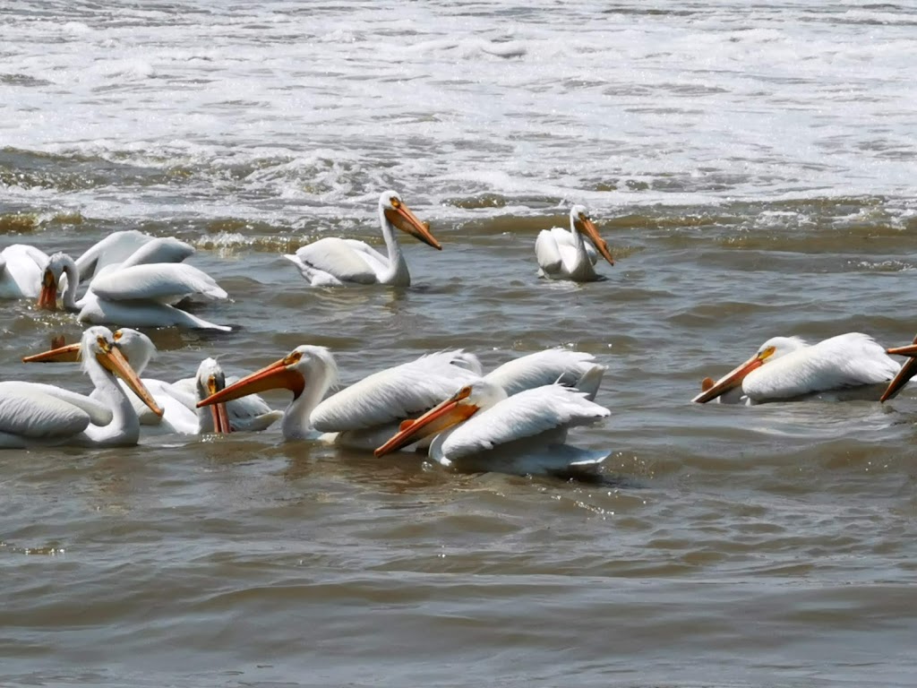 Lockport Heritage Park | 23022 Provincial Trunk Hwy 44, Lockport, MB R1B 1A1, Canada | Phone: (204) 757-2902 Lockport Heritage Park | 23022 Provincial Trunk Hwy 44, Lockport, MB R1B 1A1, Canada | Phone: (204) 757-2902