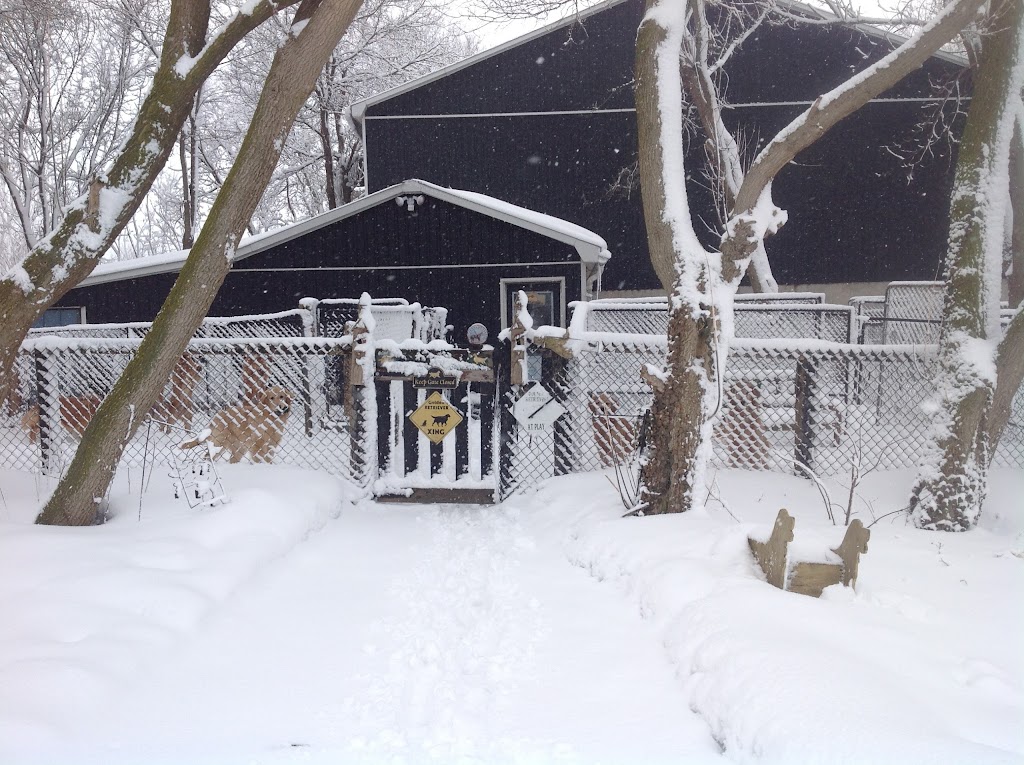 Ambercroft Kennels | 1698 Concession Rd 3, Palgrave, ON L0N 1P0, Canada | Phone: (519) 941-1047